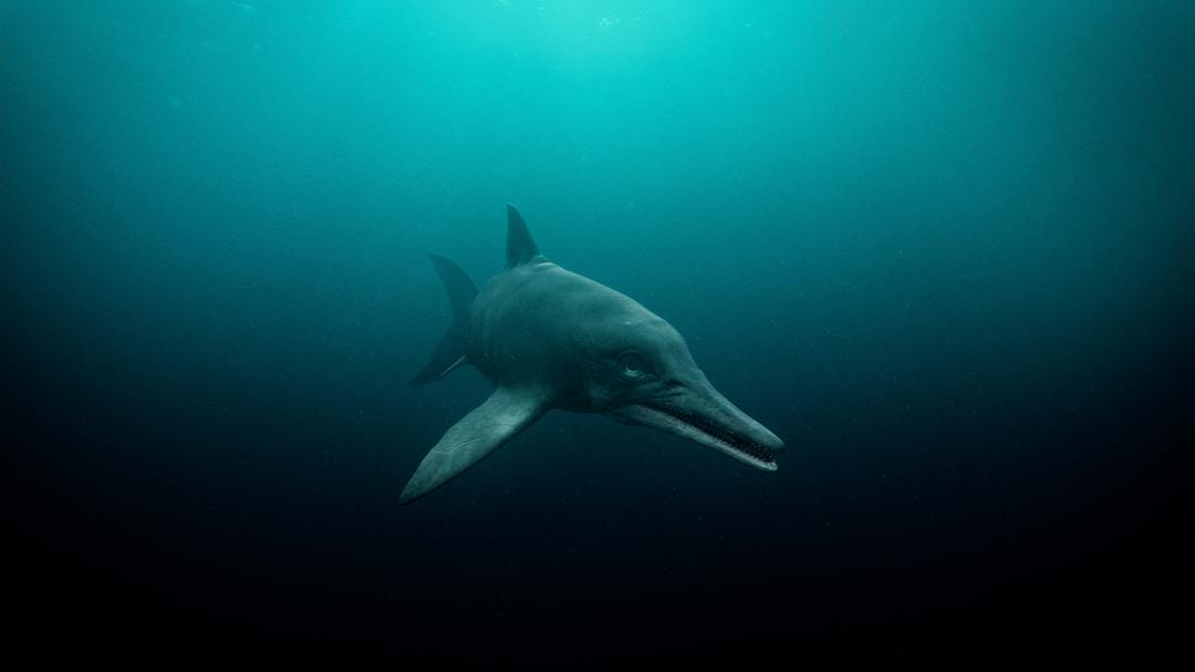 爱登堡爵士和海龙 Attenborough and the Sea Dragon