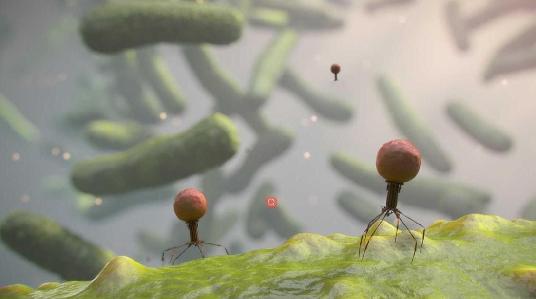 人体上的生命 Life On Us