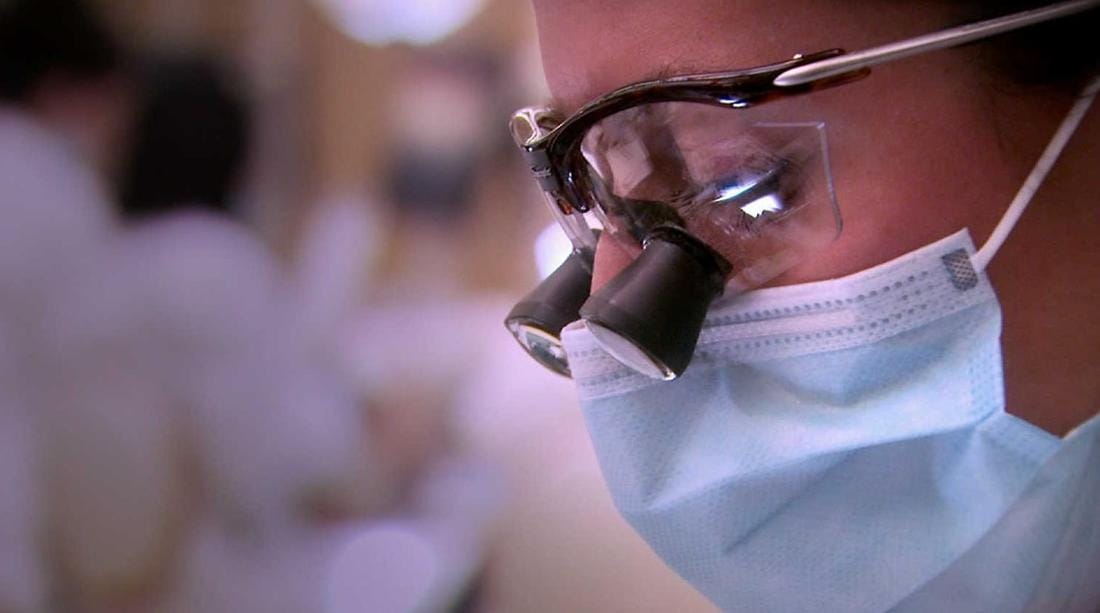 人体上的生命 Life On Us