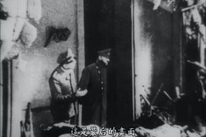 希特勒：职业生涯 Hitler – eine Karriere