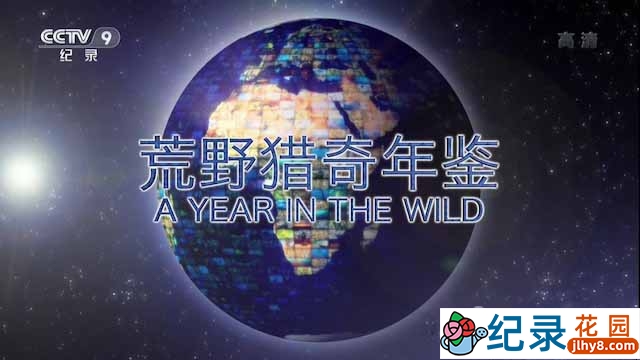 央视气象纪录片《荒野猎奇年鉴 A Year in the Wild》全5集 TS/蓝光高清纪录片资源百度云盘下载