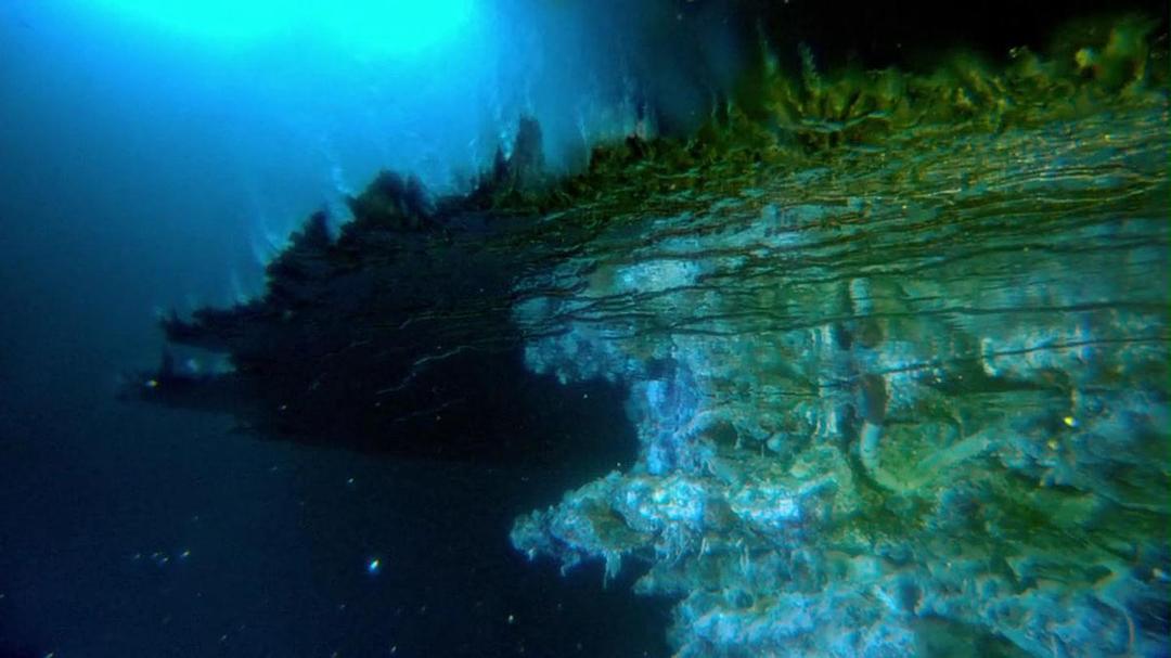 深海挑战 Deepsea Challenge 3D