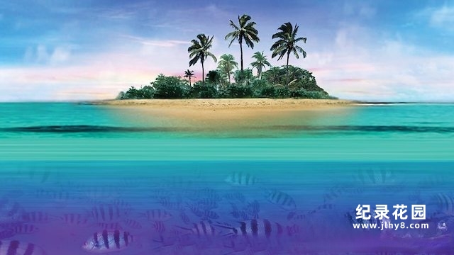 BBC自然生态纪录片《野性加勒比 Wild Caribbean》全4集 720P/1080i高清纪录片百度云