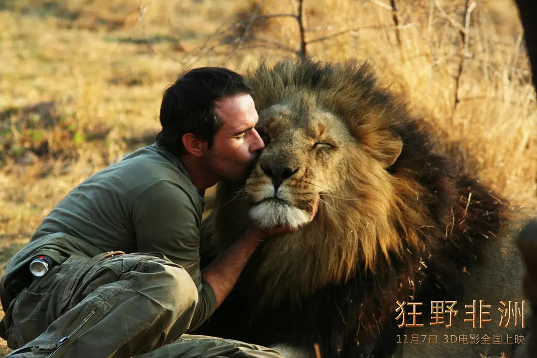 狂野非洲 African Safari