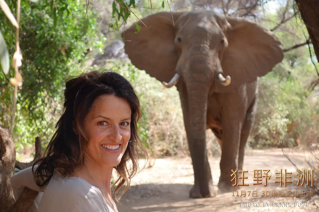 狂野非洲 African Safari