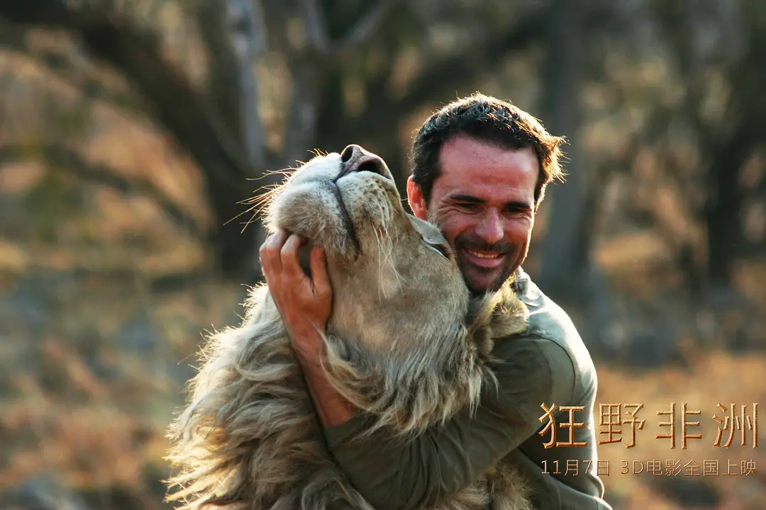 狂野非洲 African Safari