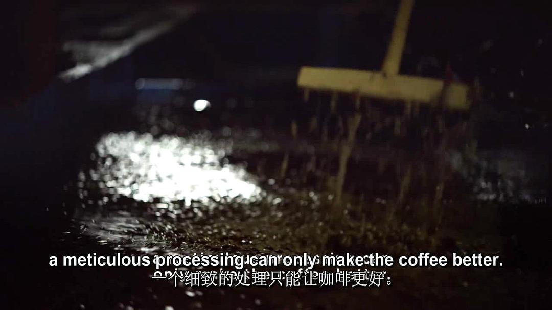 一部关于咖啡的电影 A Film about Coffee