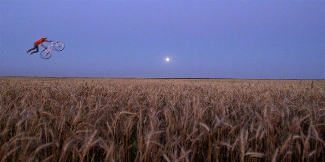 山地自行车之旅 Life Cycles