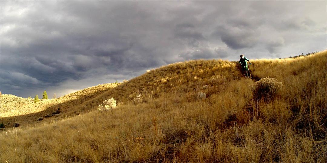 山地自行车之旅 Life Cycles