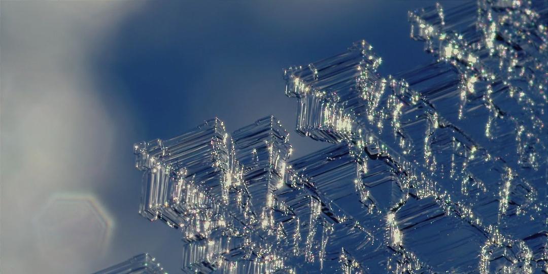 山地自行车之旅 Life Cycles