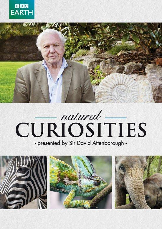 自然趣闻 第一季 David Attenborough's Natural Curiosities Season 1