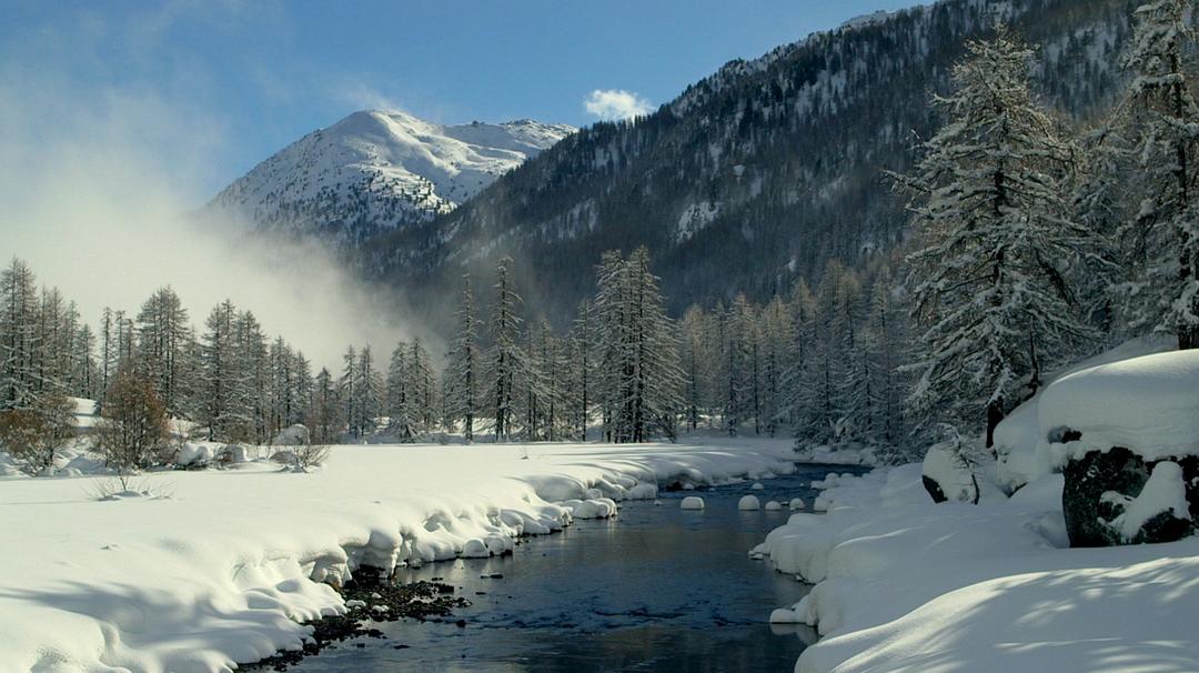 一位中国钢琴家与巴赫 Une Chinoise avec Bach