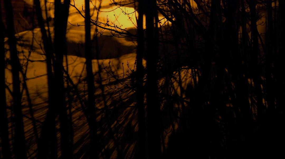 一位中国钢琴家与巴赫 Une Chinoise avec Bach