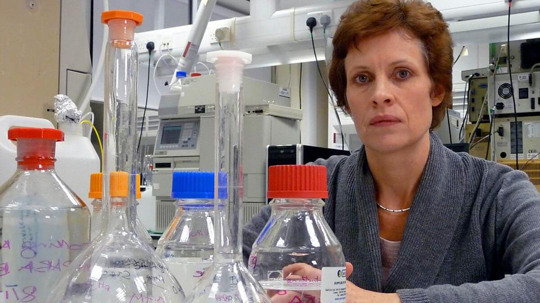 饮食变迁 Diet: A Horizon Guide