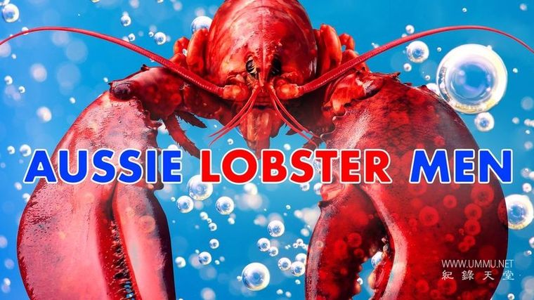 龙虾争夺战 Aussie Lobster Men