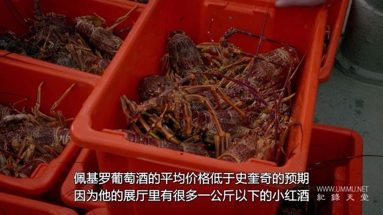 龙虾争夺战 Aussie Lobster Men