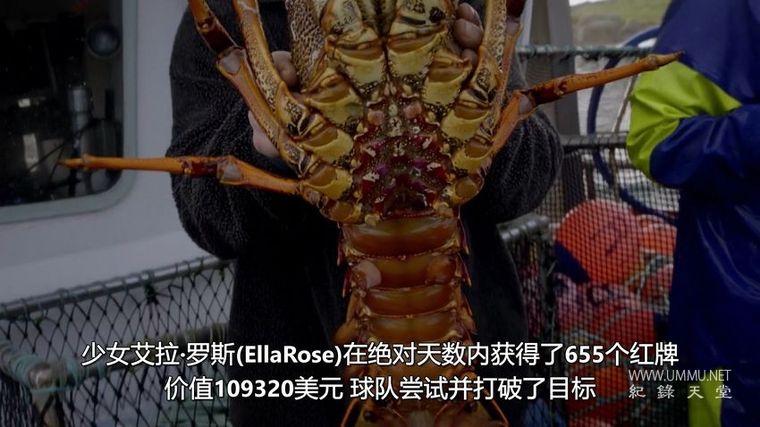 龙虾争夺战 Aussie Lobster Men