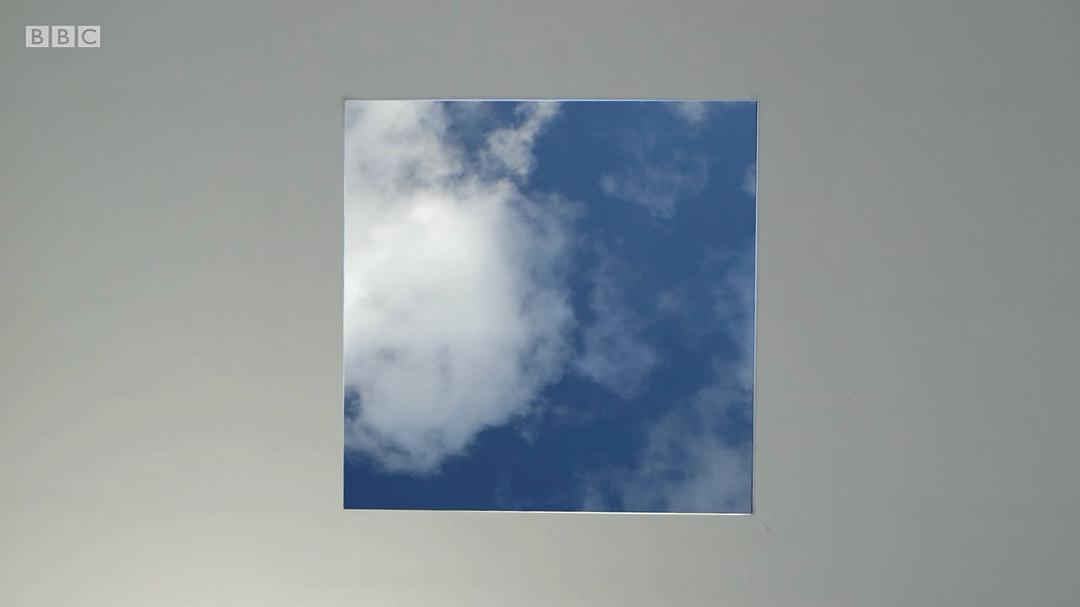 森林、田野、天空：源自自然的艺术 Forest, Field &amp; Sky: Art out of Nature