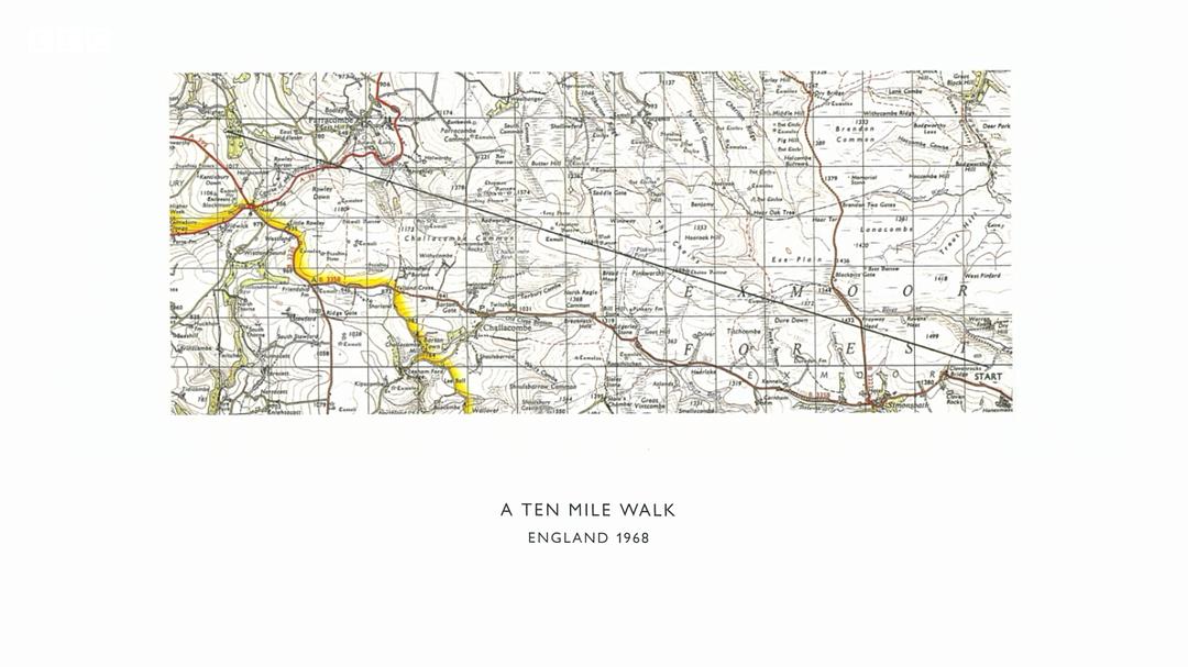 森林、田野、天空：源自自然的艺术 Forest, Field &amp; Sky: Art out of Nature