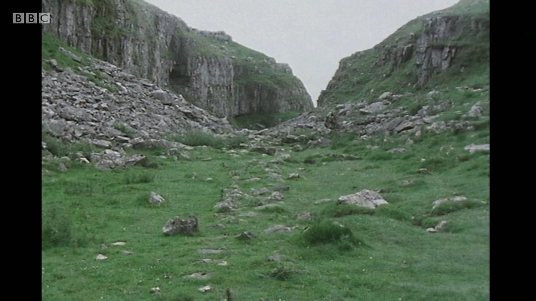 森林、田野、天空：源自自然的艺术 Forest, Field &amp; Sky: Art out of Nature