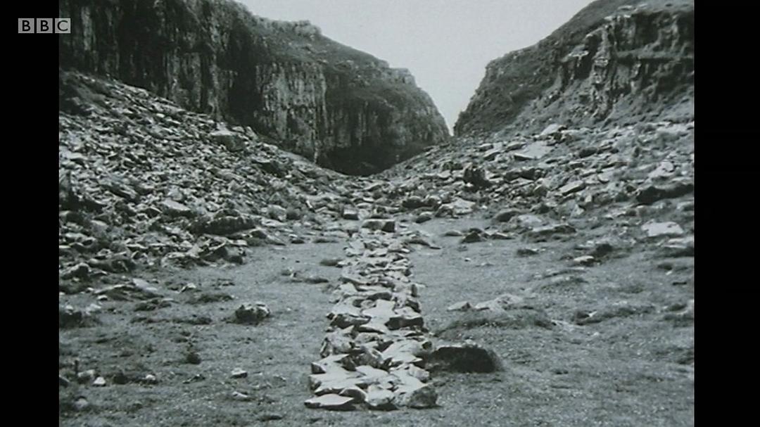 森林、田野、天空：源自自然的艺术 Forest, Field &amp; Sky: Art out of Nature