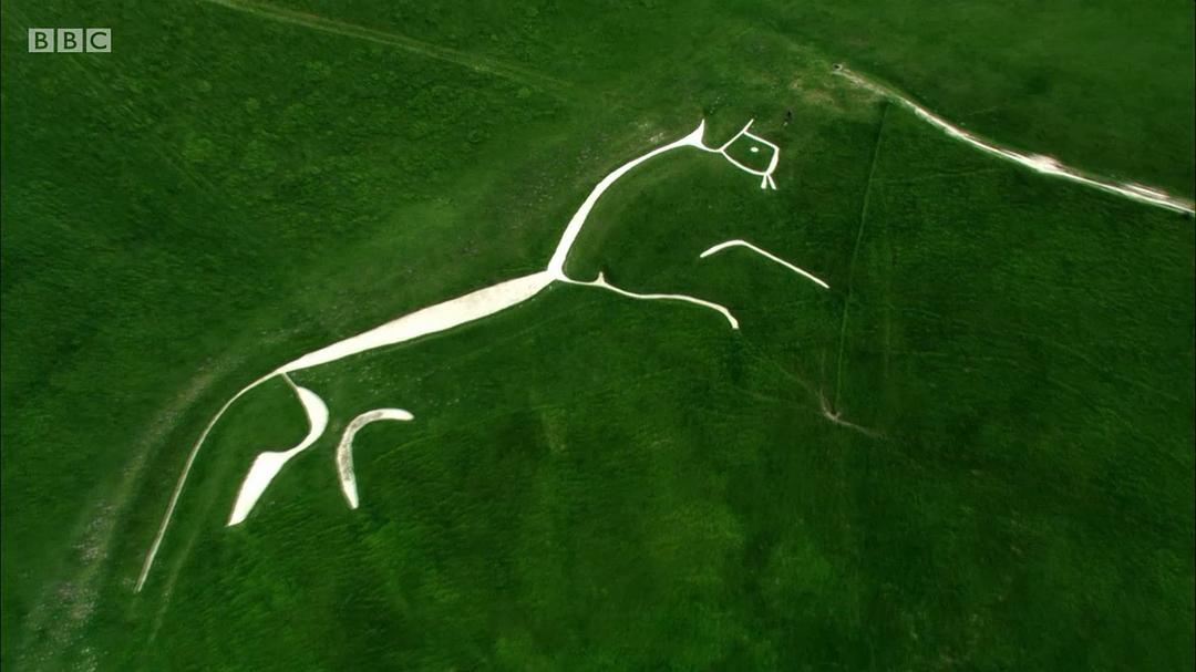 森林、田野、天空：源自自然的艺术 Forest, Field &amp; Sky: Art out of Nature