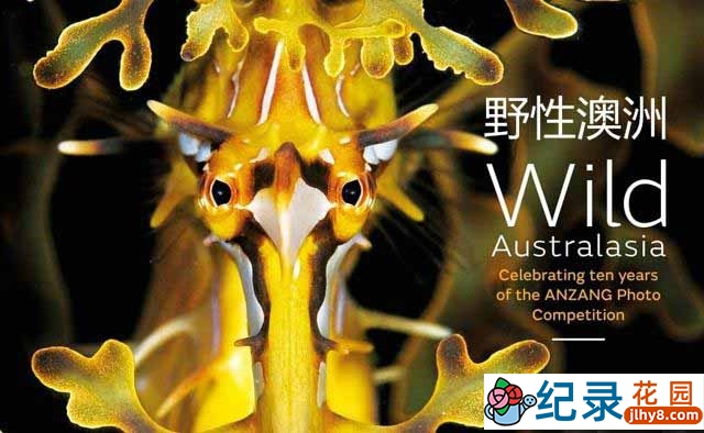 BBC自然生态纪录片《野性澳洲 Wild Australasia 2003》全6集 标清纪录片资源百度云盘下载