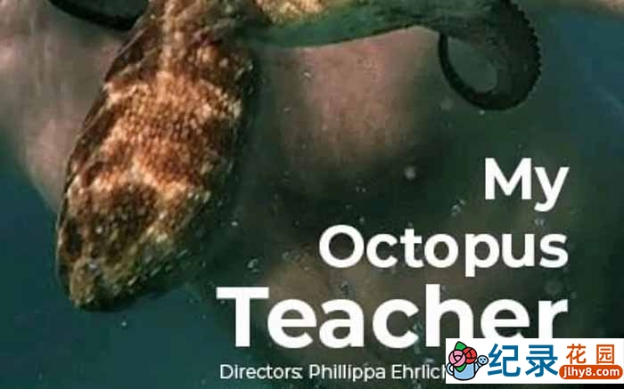 自然生态纪录片《我的章鱼老师 My Octopus Teacher》全1集 720P/1080i高清纪录片资源百度云盘下载