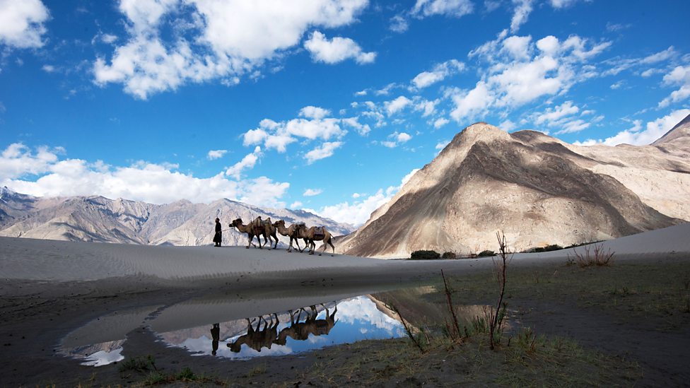 山间的生命极限 Mountain: Life at the Extreme