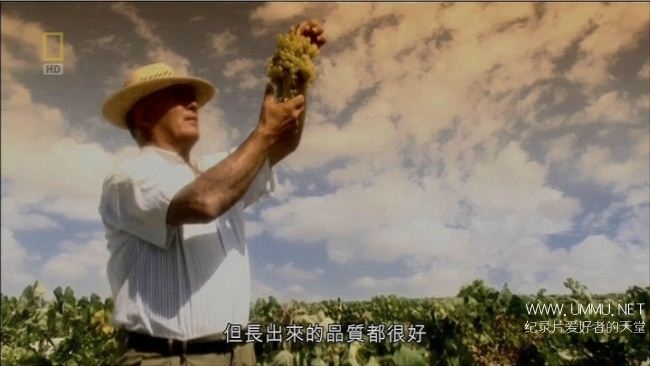 酿酒师争霸战 Battle Of The Wines