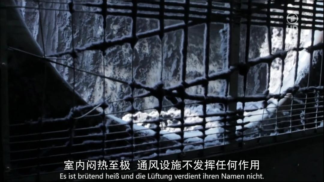 牛仔裤的代价 Der Preis der Blue-Jeans