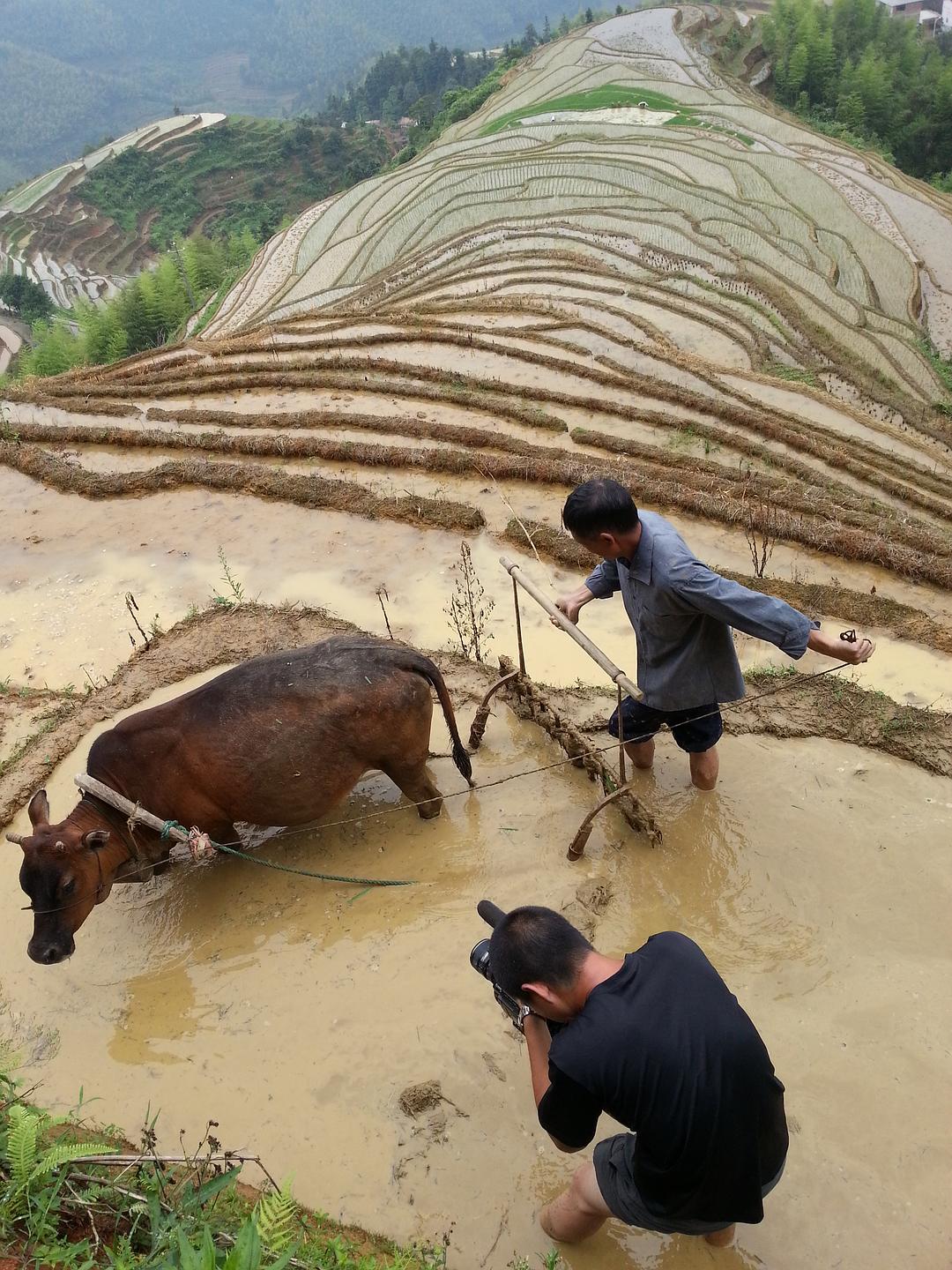 舌尖上的中国 第二季