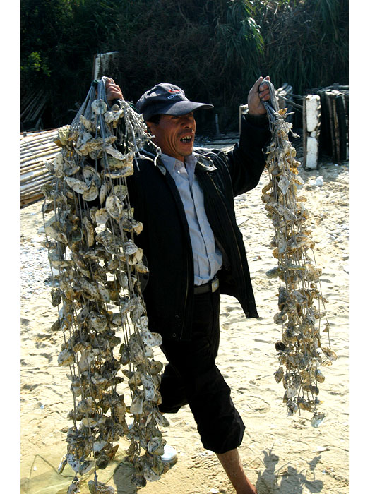 舌尖上的中国 第二季