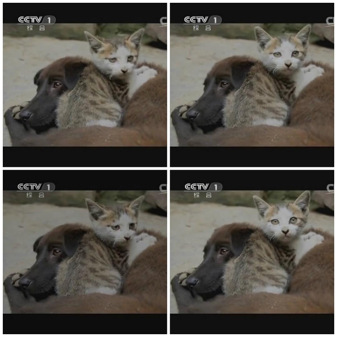 舌尖上的中国 第二季