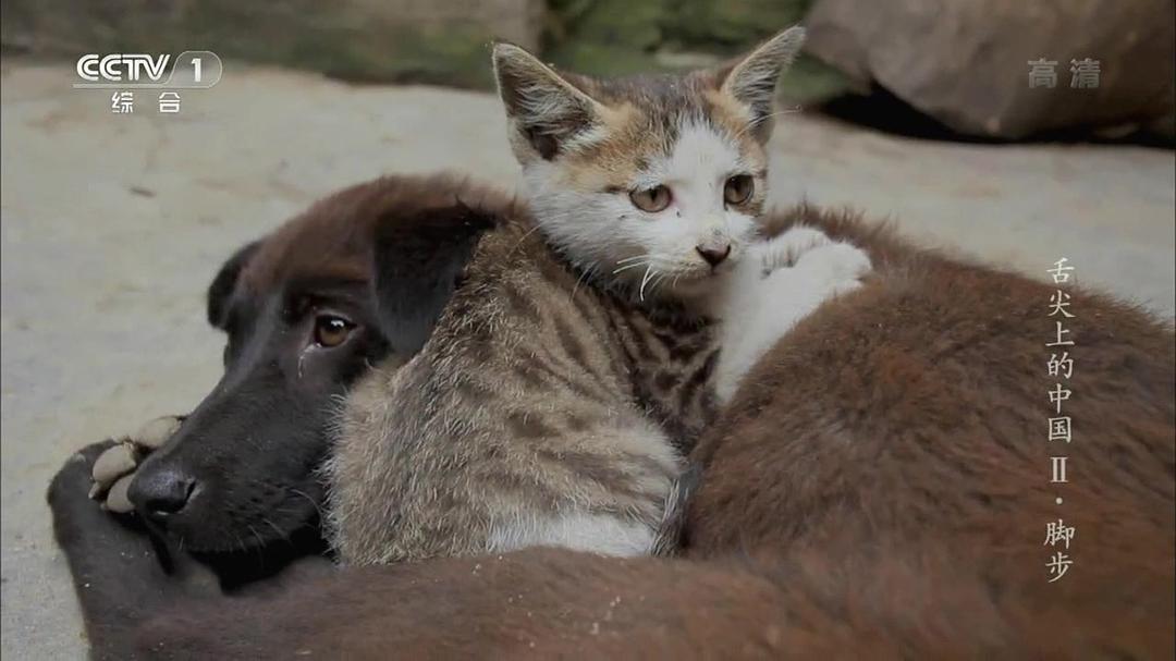 舌尖上的中国 第二季