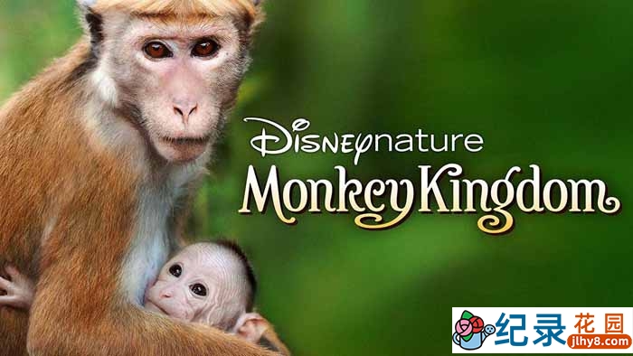 迪士尼自然生物纪录片《猴子王国 Monkey Kingdom 2015》全1集 720P/1080i高清纪录片资源百度云盘下载