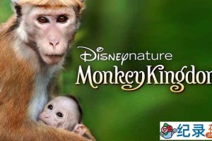 迪士尼自然生物纪录片《猴子王国 Monkey Kingdom 2015》全1集 720P/1080i高清纪录片资源百度云盘下载