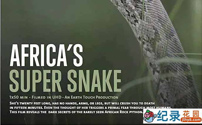 国家地理蛇类研究纪录片《纳塔尔蟒一族 Africa’s Super Snake》全1集中字 TS/蓝光高清纪录片资源百度云盘下载