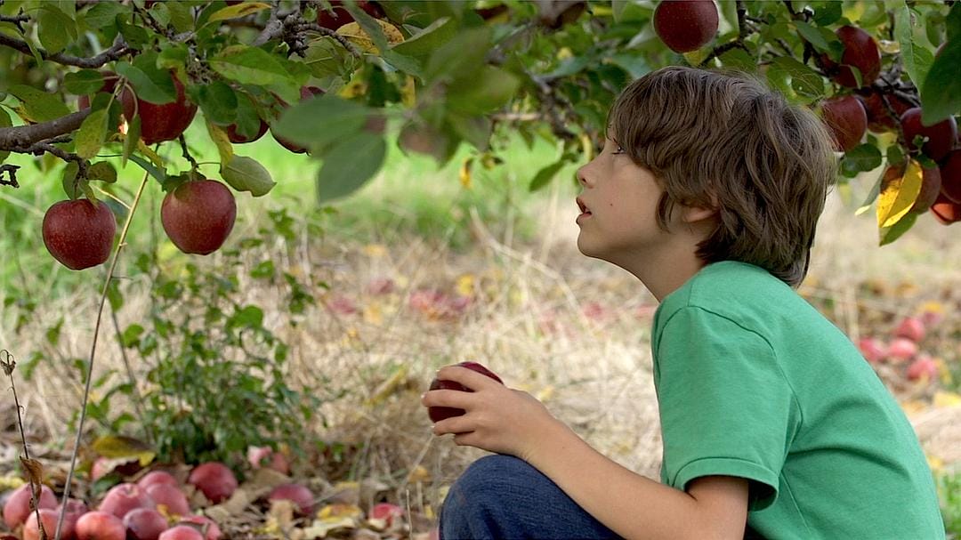 城镇新生 Newtown