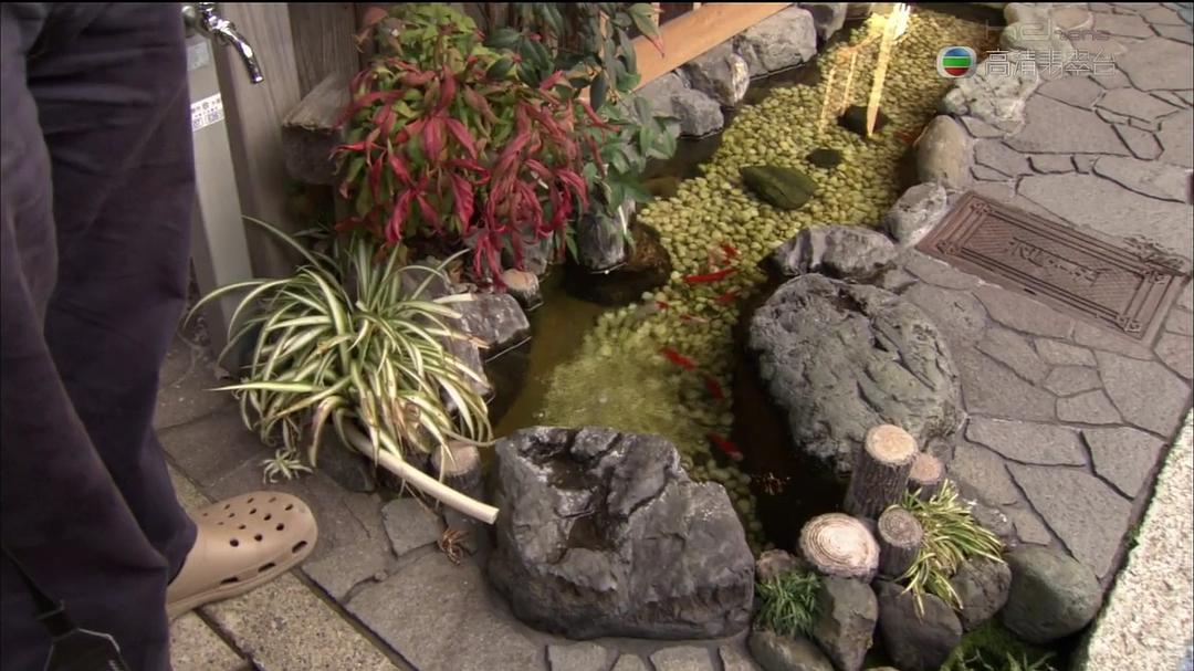 花花世界 Around The World In 80 Gardens