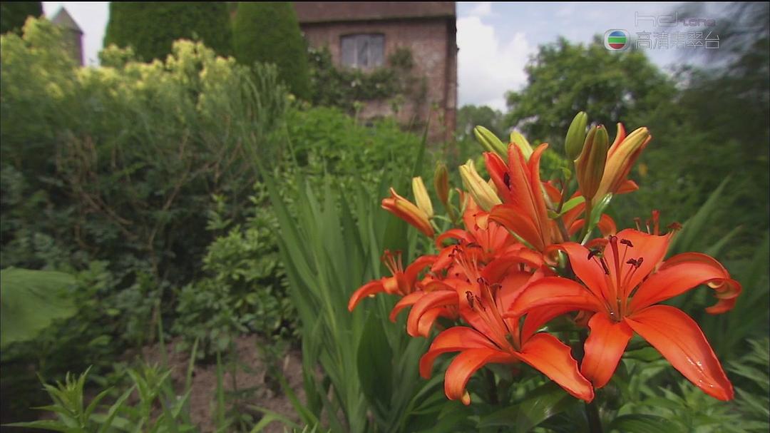 花花世界 Around The World In 80 Gardens