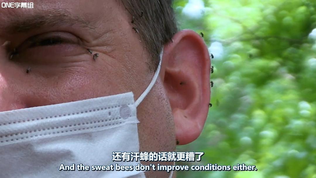 荒野间谍 第一季 Spy in the Wild Season 1