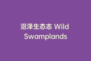 沼泽生态志 Wild Swamplands