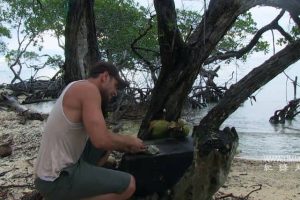 独闯荒野 Alone in the Wild