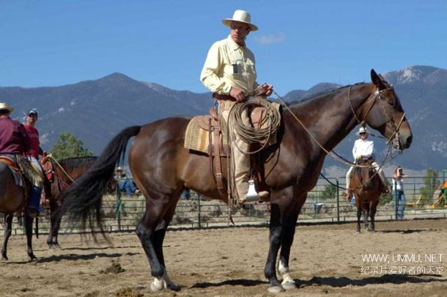 巴克:真正的马语者 Buck The Real Horse Whisperer