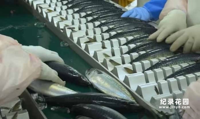 食品生产纪录片《农产品种植加工》第2季原版无字 1080P高清自媒体解说素材百度云盘下载