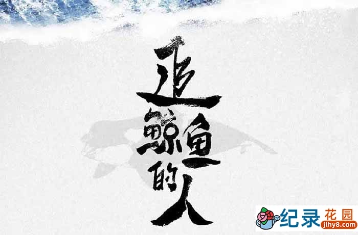 航海探险旅行纪录片《追鲸鱼的人》全1集中字 720P/1080i高清纪录片资源百度云盘下载