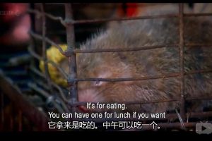 驾车看中国 第一季 China on Four Wheels Season 1