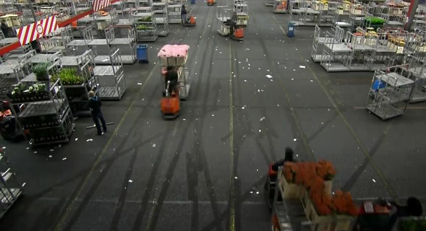 郁金香效应 Terra Mater: Der Tulpen-Crash