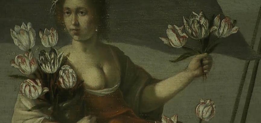 郁金香效应 Terra Mater: Der Tulpen-Crash